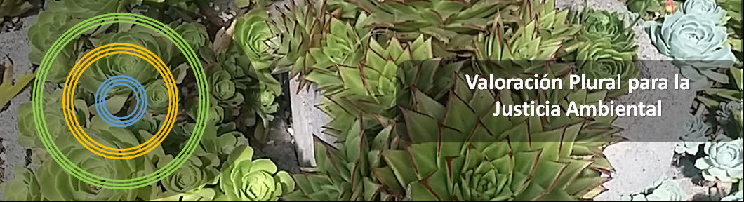 Pasivos Socioambientales Plurales